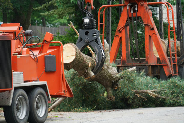Best Lawn Drainage Solutions  in Brooklawn, NJ